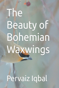 Beauty of Bohemian Waxwings