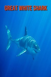 Great White Shark