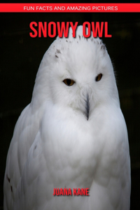 Snowy Owl