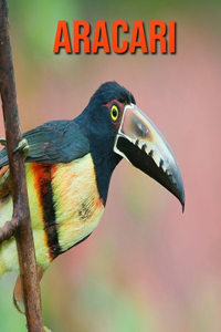Aracari