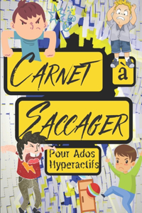 Carnet à Saccager Pour Ados