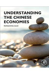 Understanding the Chinese Economies