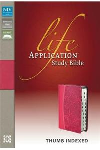 Life Application Study Bible-NIV