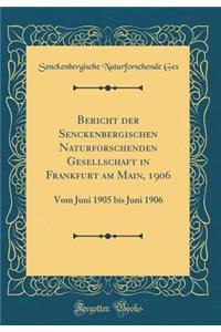 Bericht Der Senckenbergischen Naturforschenden Gesellschaft in Frankfurt Am Main, 1906: Vom Juni 1905 Bis Juni 1906 (Classic Reprint): Vom Juni 1905 Bis Juni 1906 (Classic Reprint)