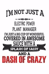 I'm Not Just A Electric Power Plant Manager