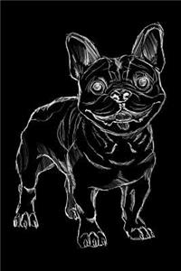 Hundetagebuch