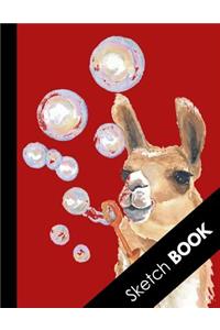 Sketch Book