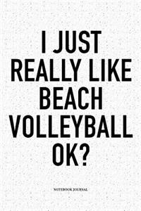 I Just Really Like Beach Volleyball Ok?