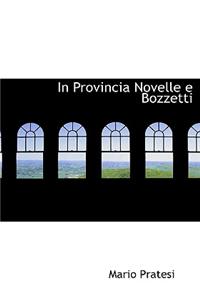 In Provincia Novelle E Bozzetti