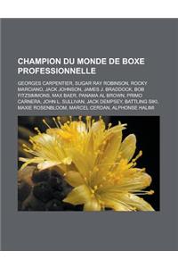 Champion Du Monde de Boxe Professionnelle