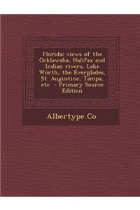 Florida; Views of the Ocklawaha, Halifax and Indian Rivers, Lake Worth, the Everglades, St. Augustine, Tampa, Etc - Primary Source Edition