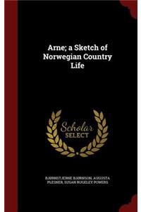 Arne; a Sketch of Norwegian Country Life
