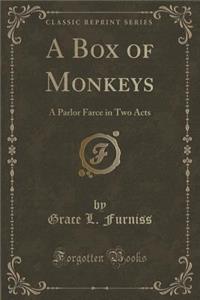 A Box of Monkeys