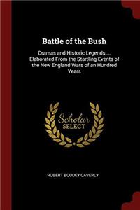Battle of the Bush: Dramas and Historic Legends ... Elaborated From the Startling Events of the New England Wars of an Hundred Years