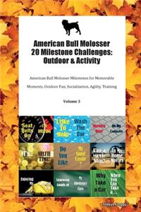 American Bull Molosser 20 Milestone Challenges