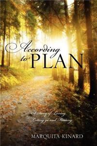 According to Plan