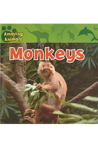Monkeys