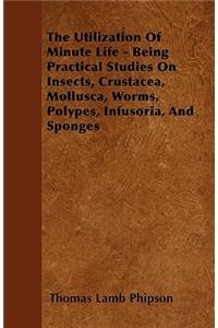 The Utilization Of Minute Life - Being Practical Studies On Insects, Crustacea, Mollusca, Worms, Polypes, Infusoria, And Sponges