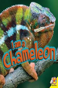 I Am a Chameleon