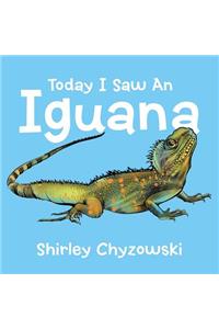Today I Saw An Iguana