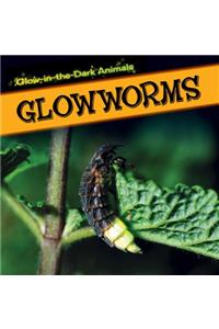 Glowworms