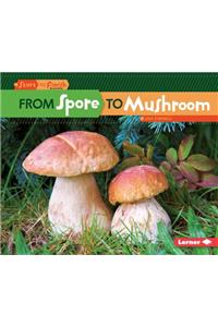 From Spore to Mushroom