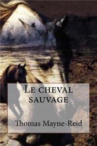 Le cheval sauvage