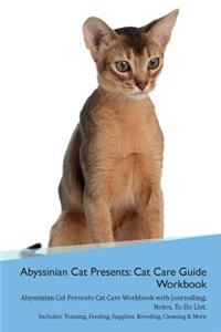 Abyssinian Cat Presents