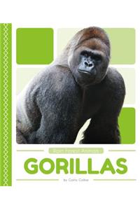 Gorillas