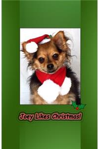 Joey Likes Christmas