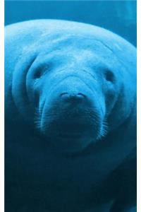 Manatee Lined Notebook - 120 Page, 5x8, Cute Journal Gift for Manatee Lovers