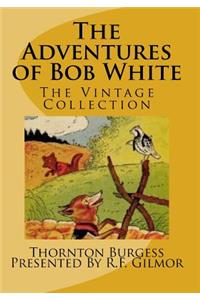 The Adventures of Bob White