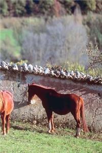Journal Horses Pasture Equine