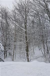 Snow Covered Trees Winter Weather Journal