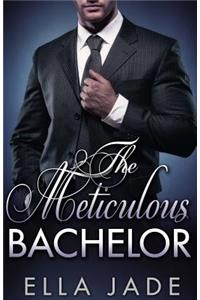 Meticulous Bachelor