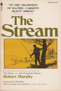 The Stream