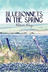 Bluebonnets in the Spring