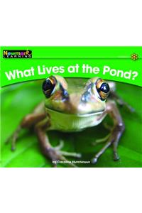 What Lives at the Pond? Leveled Text