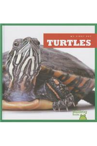 Turtles
