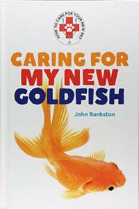 Caring for My New Goldfish