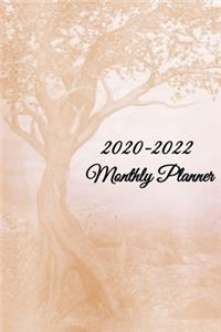 2020-2022 Monthly Planner