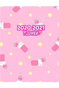 2020-2021 Planner