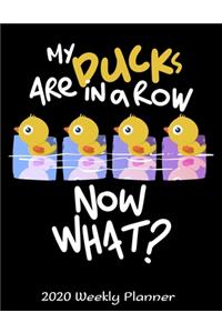 My Ducks Are In A Row Now What? 2020 Weekly Planner