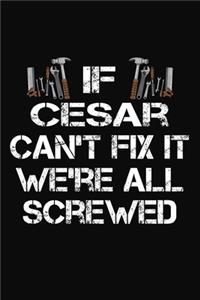 If Cesar Can't Fix It We're All Screwed: Personalized Handyman Journal - Gift Notebook