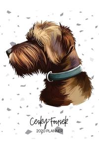 Cesky Fousek 2020 Planner