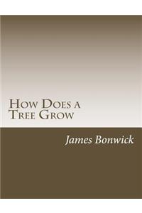 How Does a Tree Grow
