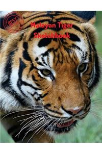 Malayan Tiger Sketchbook: Blank Paper for Drawing, Doodling or Sketching 120 Large Blank Pages (8.5"x11") for Sketching, inspiring, Drawing Anything Kids Love to do and to Im