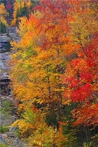 Fall 2019 Weekly Planner Mountain Waterfall Autumn Foliage 134 Pages