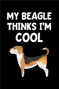 My Beagle Thinks I'm Cool