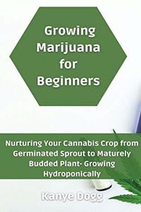 Growing Marijuana for Beginners